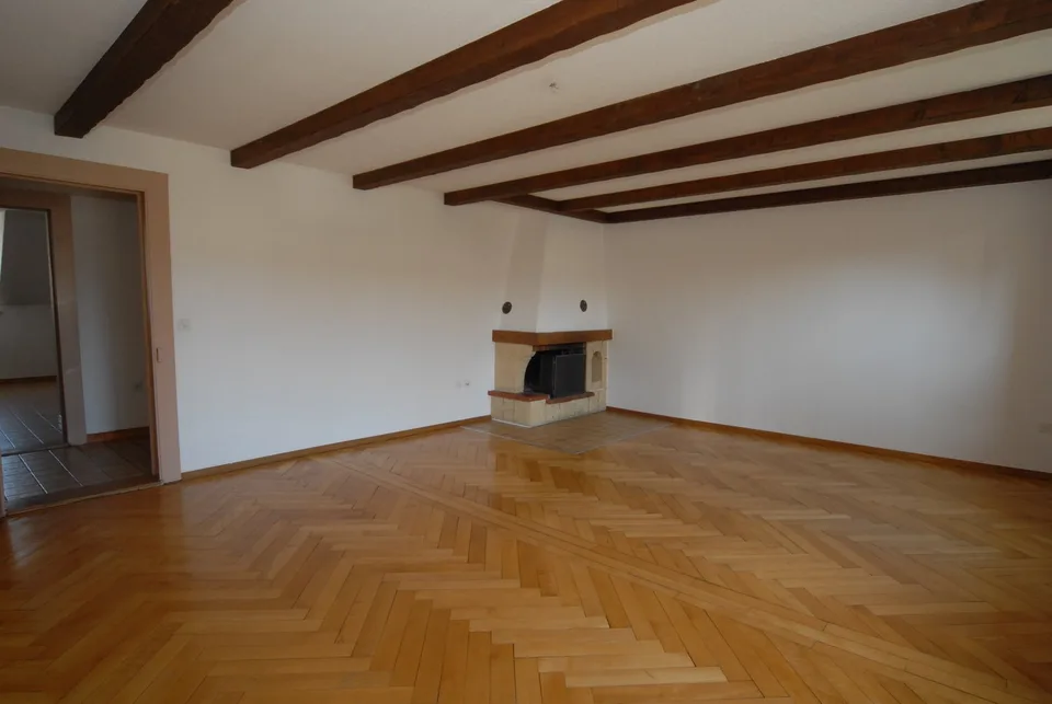 Grande appartamento 3.5 locali, caminetto, possibilità di un garage