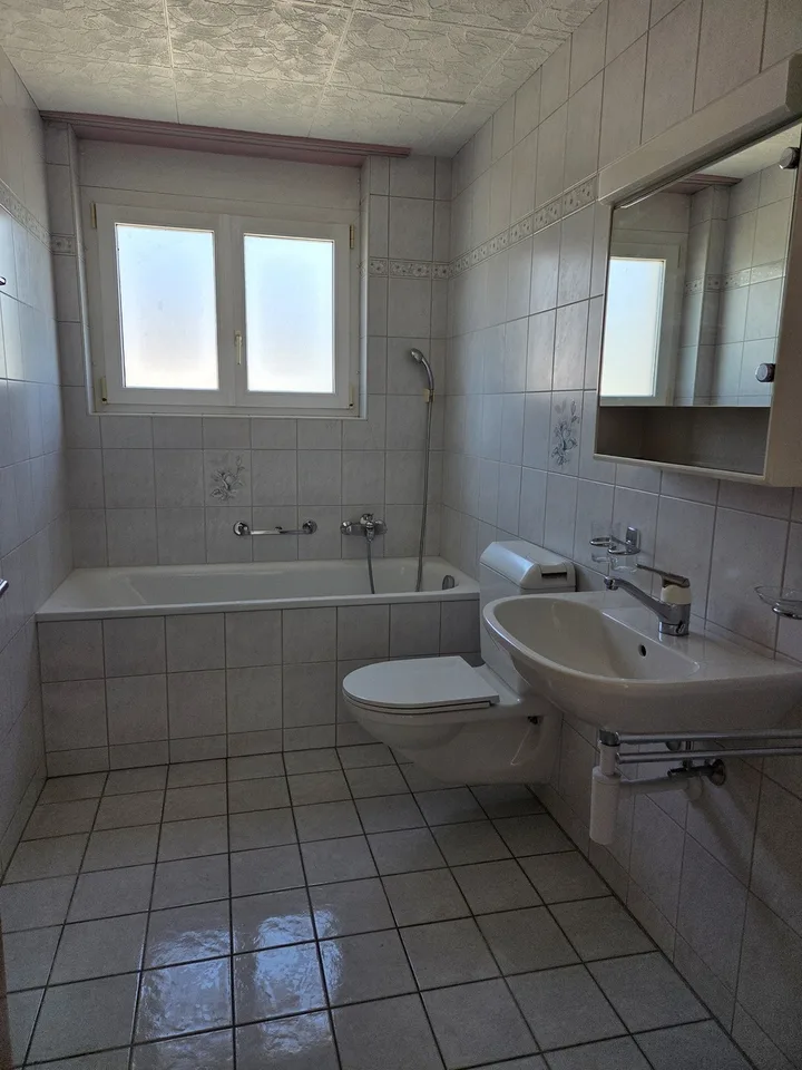 Helles Dachgeschoss von 75 m2 mit Aussicht!