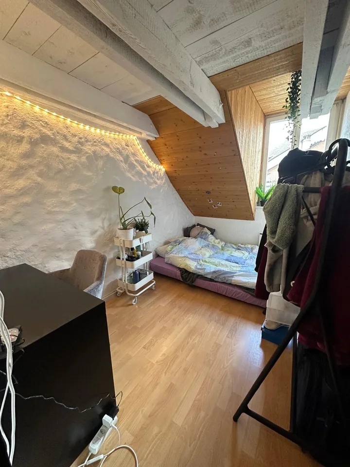 Prächtiges 3.5-Zimmer-Duplex auf der 3. Etage im Herzen der Altstadt