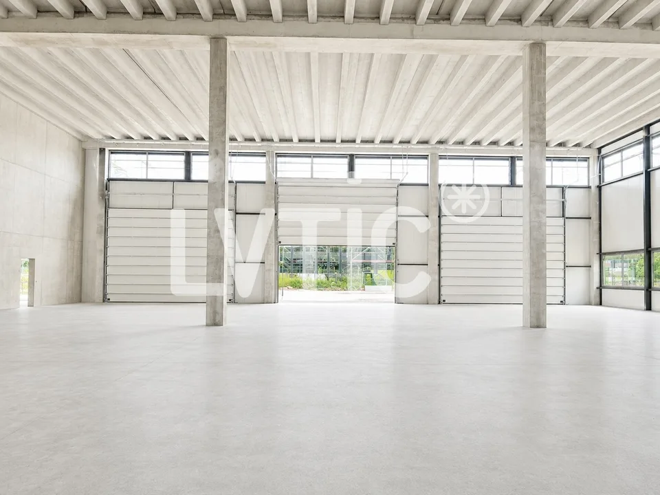 Magazzino industriale, uffici di 6600 m2 divisibili in affitto a Domdidier