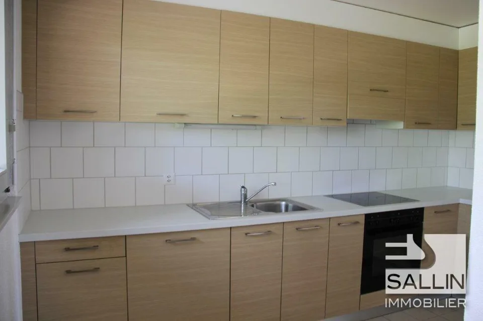 APPARTEMENT DUPLEX DE 3½ PIECES
