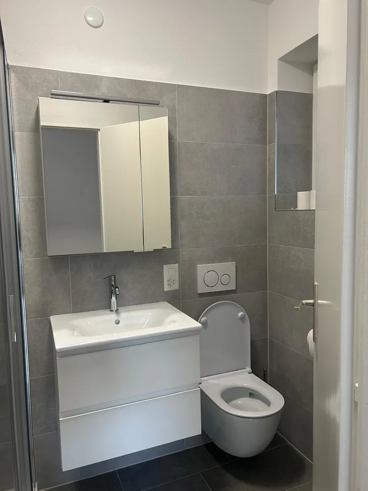 Appartement de 1.5 pièces à Minusio