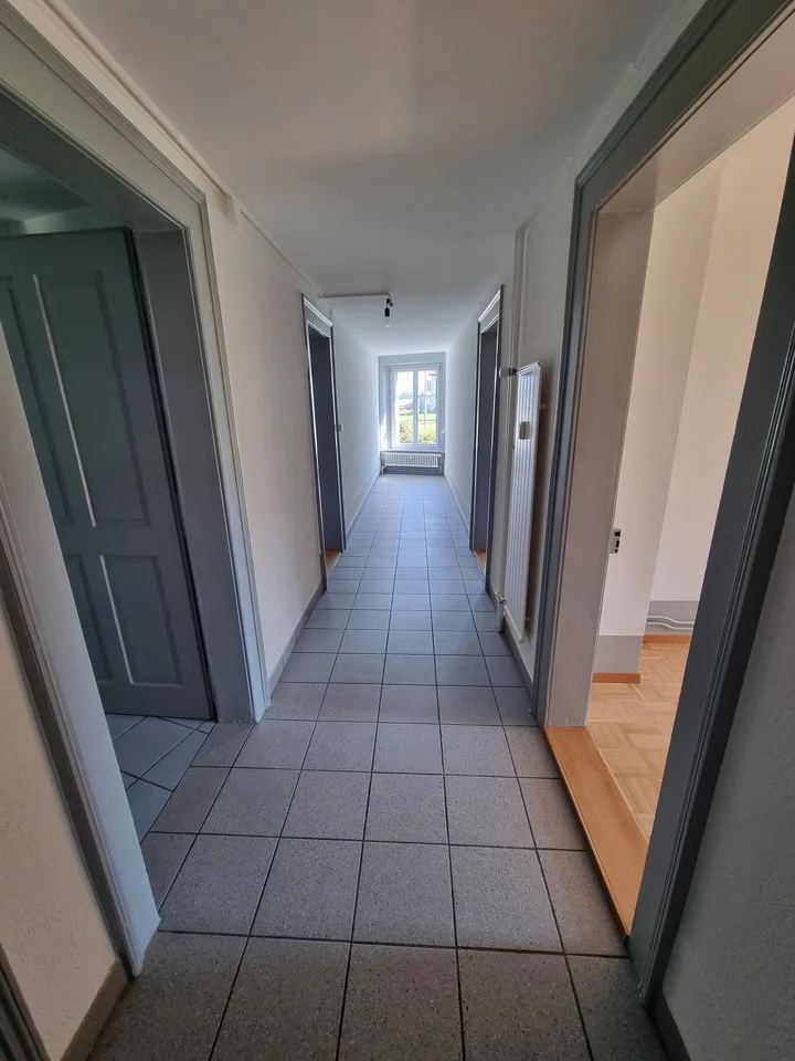 Geräumige renovierte Wohnung