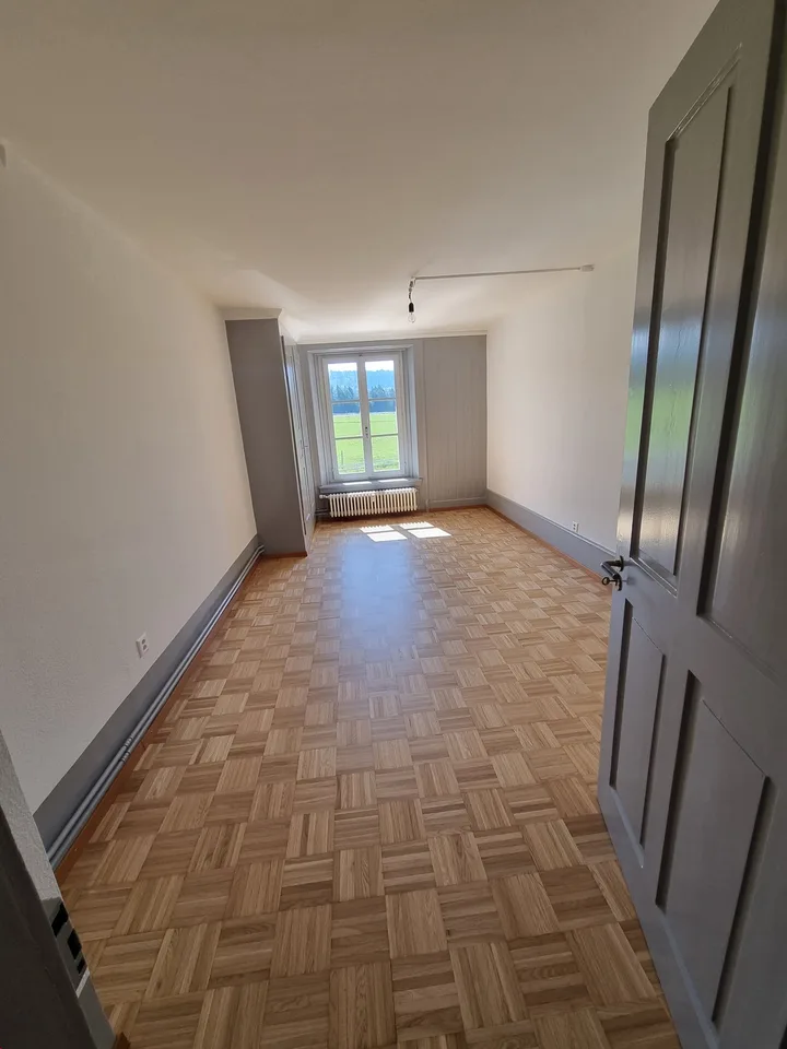 Geräumiges renoviertes Apartment