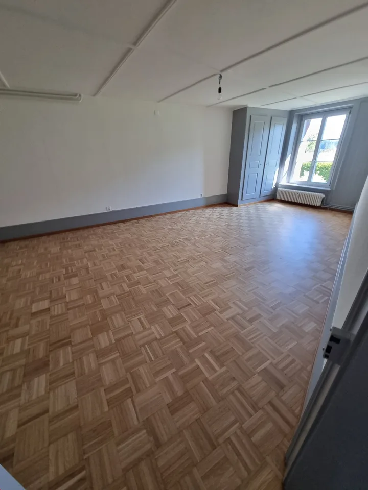 Geräumiges renoviertes Apartment