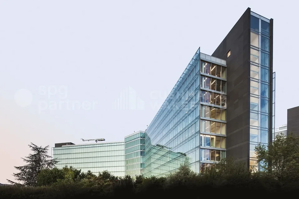Vogel