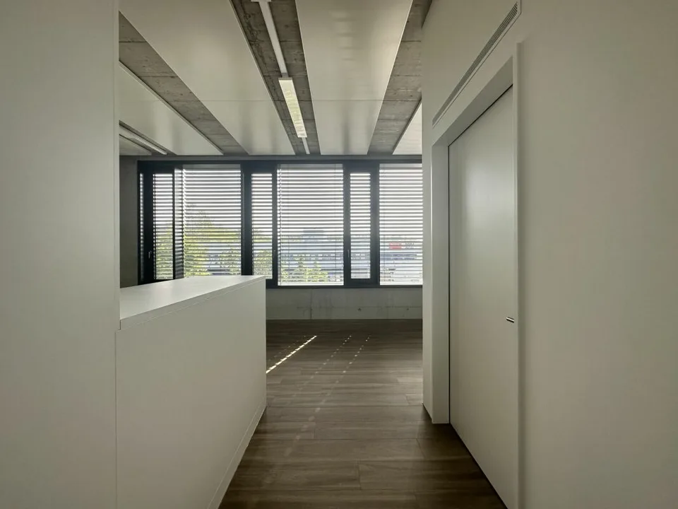 Büro/Gewerbe | Hang-Aar | 49 bis 66 m²