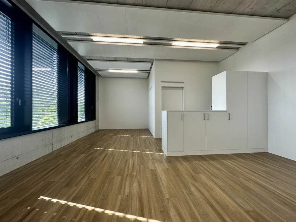 Büro/Gewerbe | Hang-Aar | 49 bis 66 m²