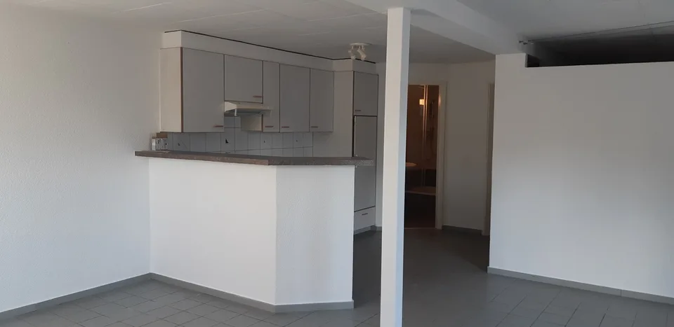 Spacieux appartement de 1 pièce