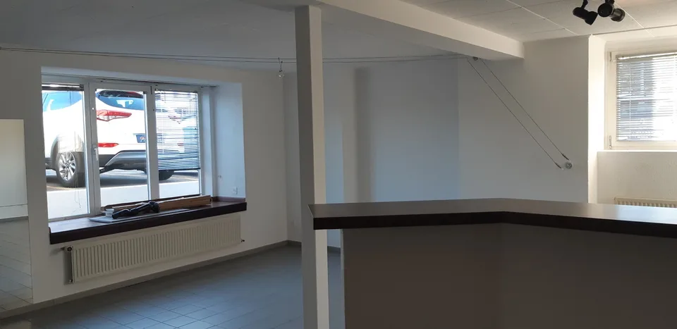 Spacieux appartement de 1 pièce