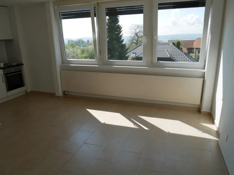 Appartement 2 pièces lumineux avec belle vue à Lommiswil