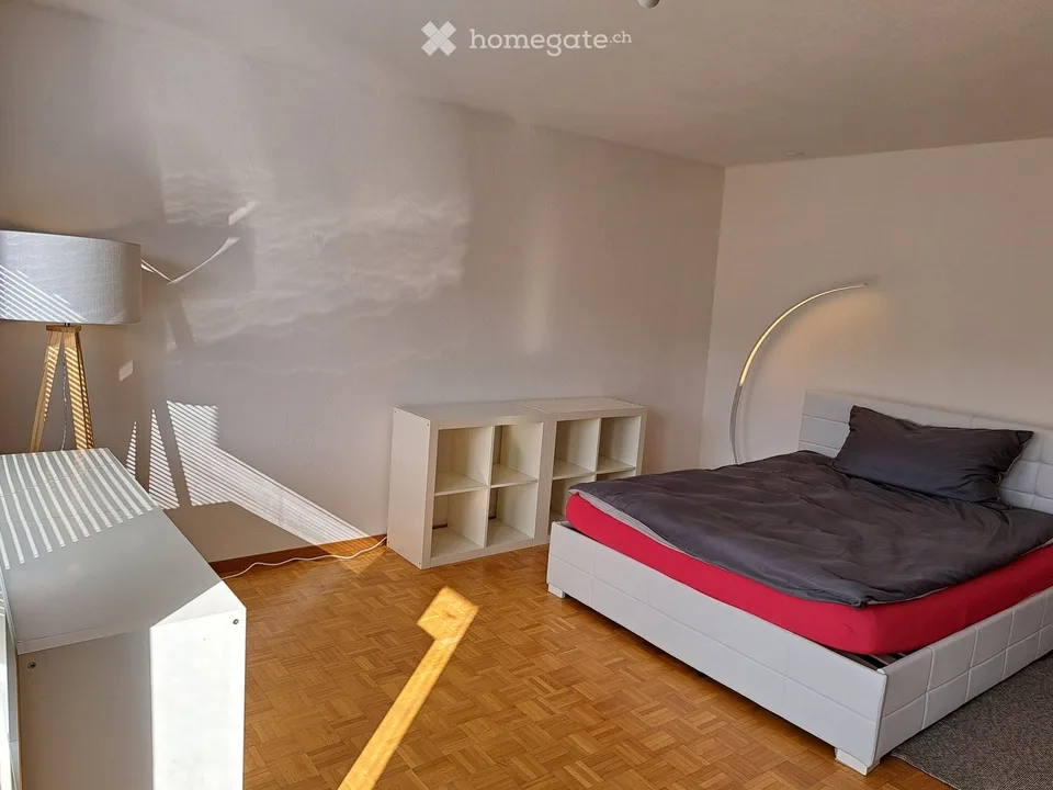Frauen WG, möbliertes Zimmer in Frauen-Wg nähe Zürich