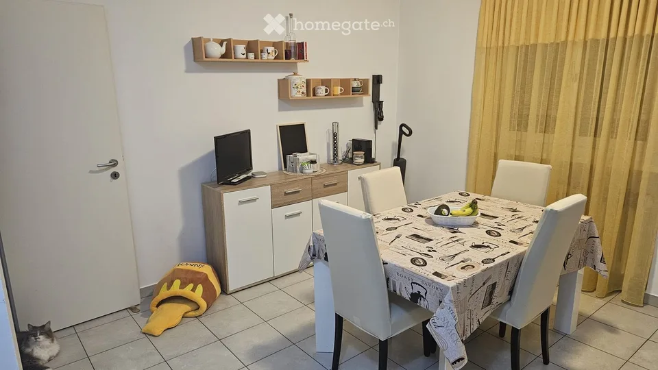Wir suchen einen Nachmieter für eine 4-Zimmer-Wohnung in Balerna
