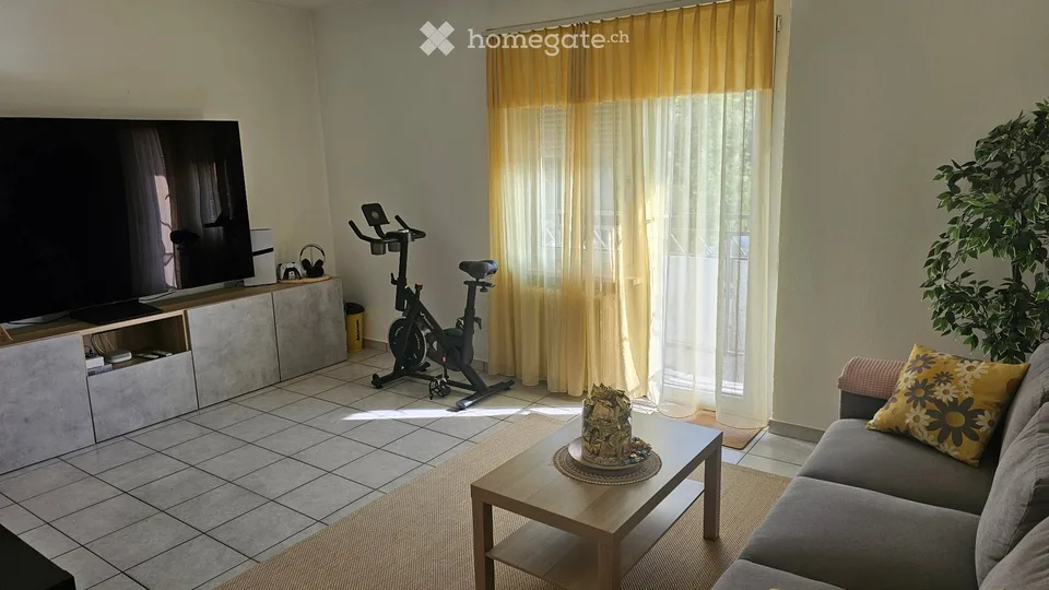 Wir suchen einen Nachmieter für eine 4-Zimmer-Wohnung in Balerna