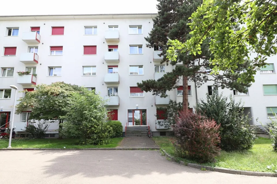 Nähe Kannenfeldpark - schöne 3 1/2-Zimmerwohnung in ruhiger Seitenstrasse zu vermieten