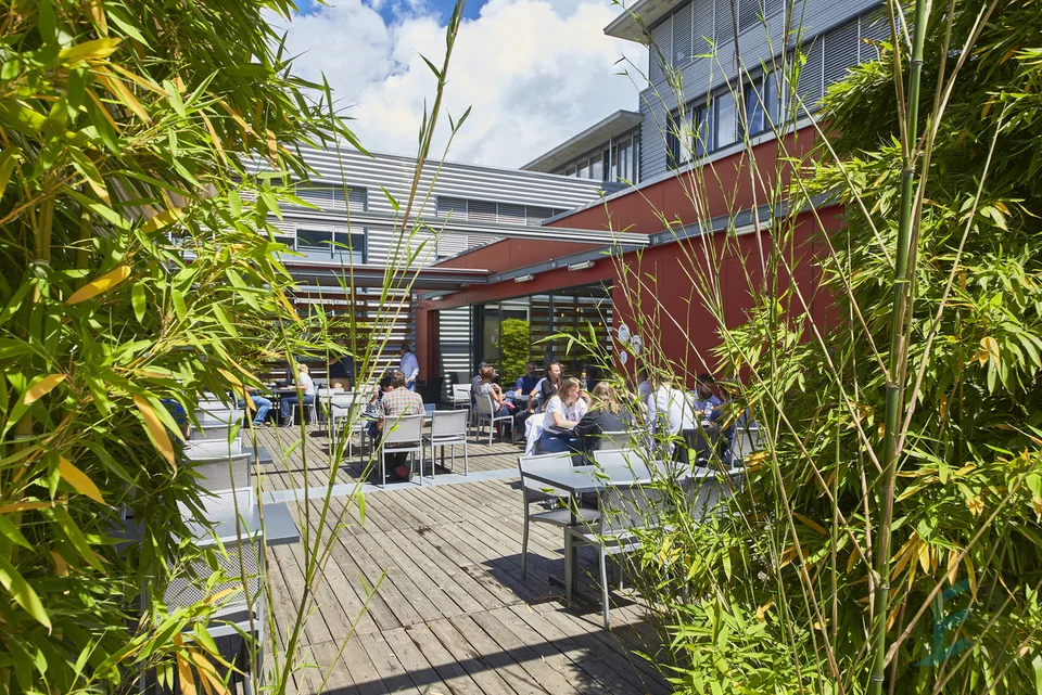 Bureaux à louer au coeur du Swiss Digital Center – Foto 6 von 13