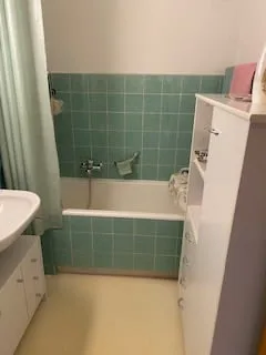 Incantevole appartamento 2 locali con vista sulla montagna a Minusio