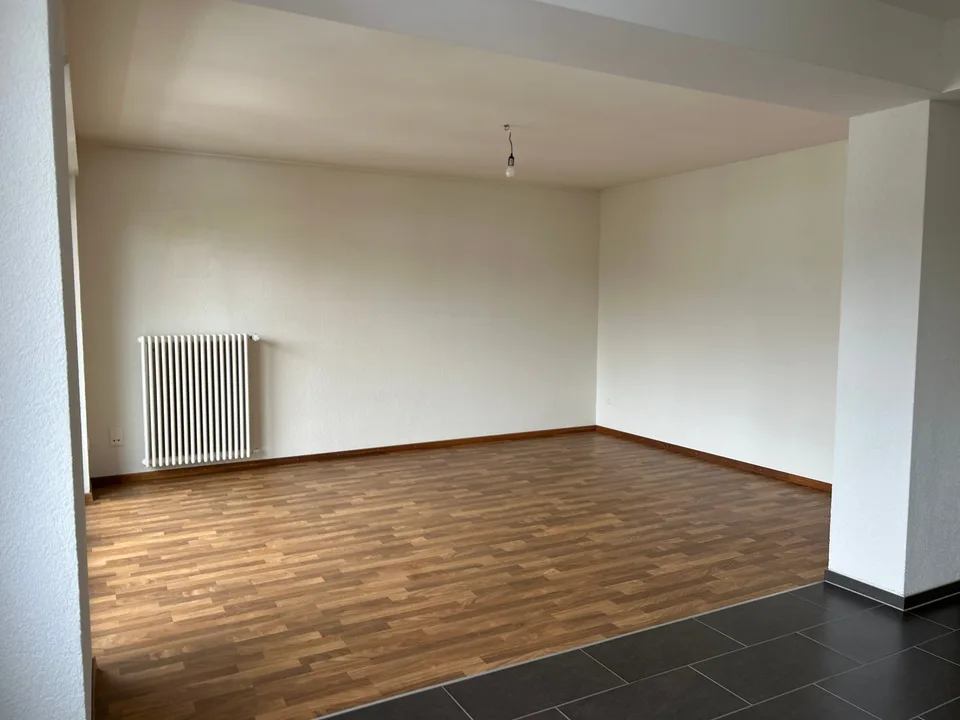 Charmant 2,5 pièces avec vue imprenable et 1er loyer net offert !