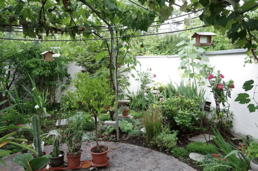 6 1/2-Zimmer-Atrium-Einfamilienhaus im Zentrum