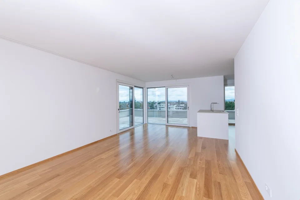 Appartamento di charme 3.5 locali all'ultimo piano con vista panoramica a Binningen