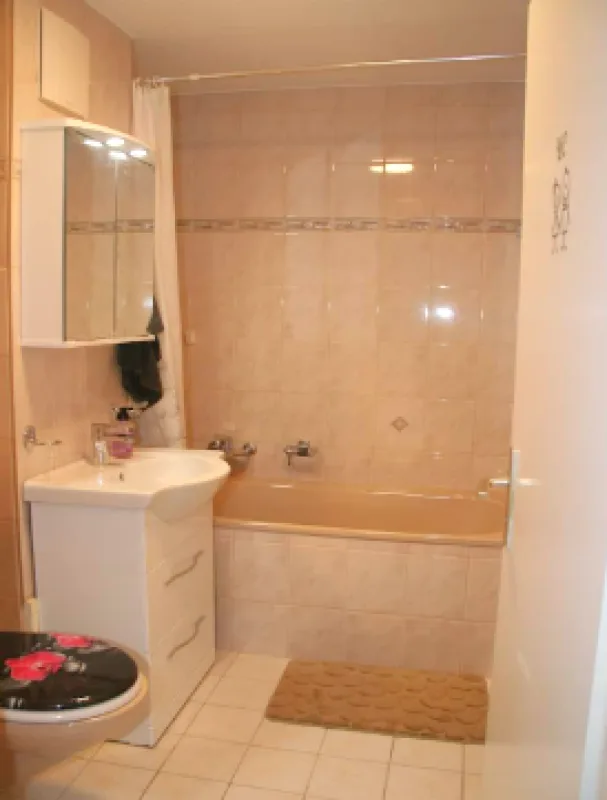 Appartement attractif de 2,5 pièces dans la station de sport prisée de Torgon VS – photo 8 sur 14