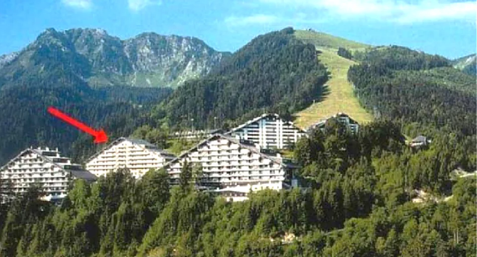 Appartement attractif de 2,5 pièces dans la station de sport prisée de Torgon VS – photo 13 sur 14