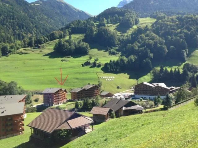 Beautiful furnished apartment with 3.5 rooms of 69.66 m2 + parking space in garage, cellar and ski locker