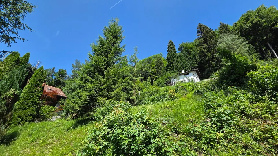 Bauland W1a an wunderschöner, äusserst ruhiger Aussichtslage zuoberst am Solenberg