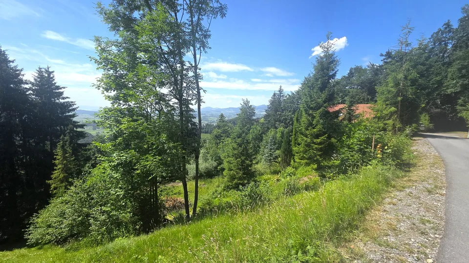 Bauland W1a an wunderschöner, äusserst ruhiger Aussichtslage zuoberst am Solenberg