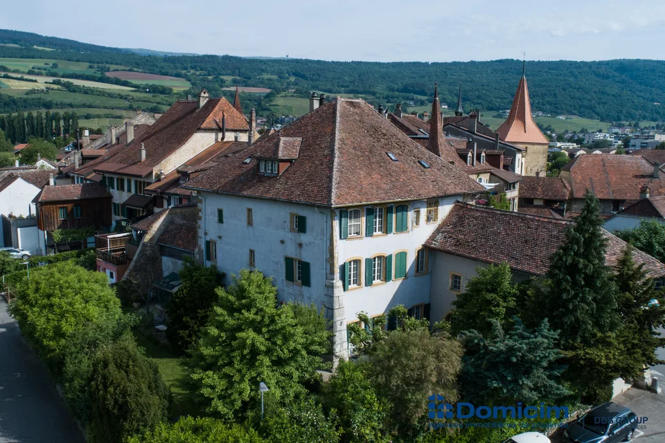 Authentique demeure de caractère de 7 appartements