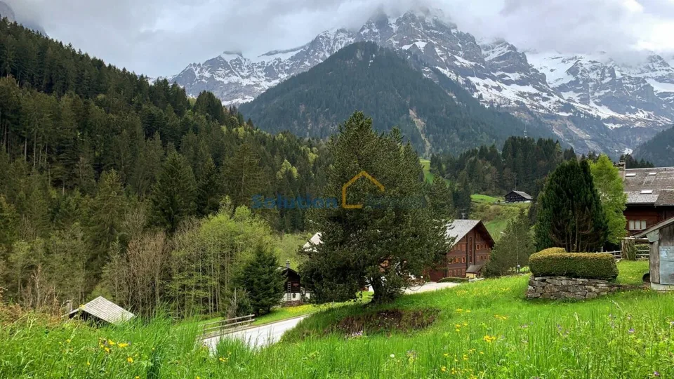 Großes Chalet mit 8 Zimmern, sehr sonnig