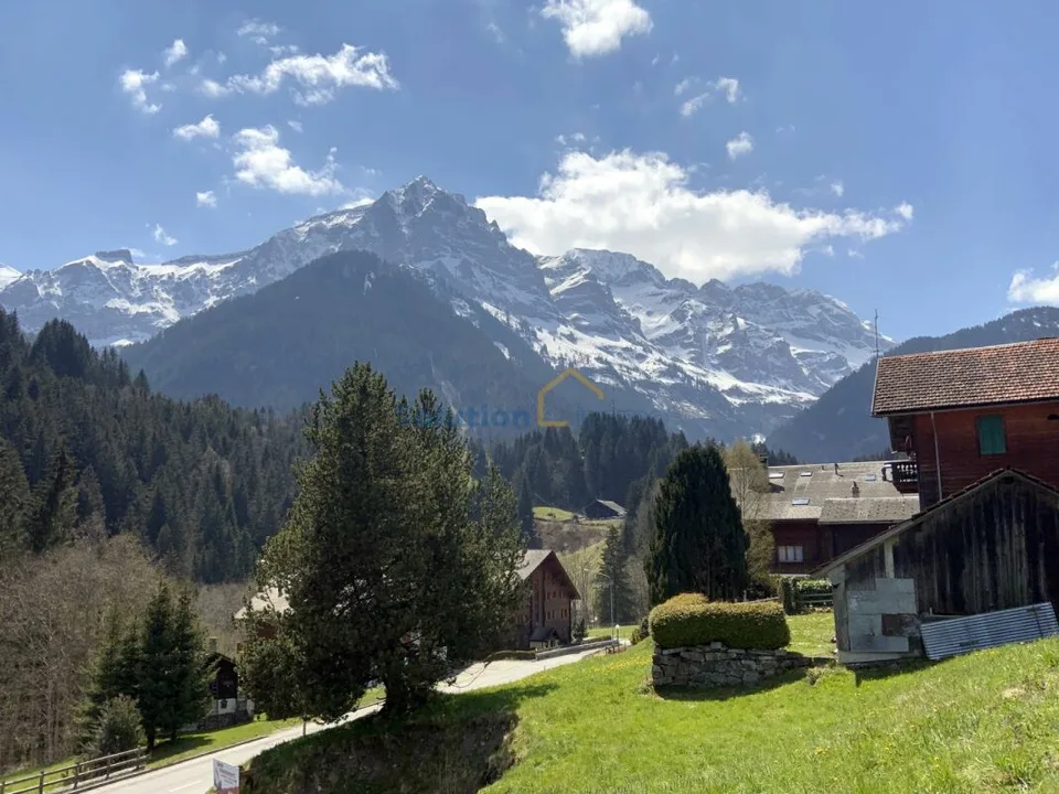 Großes Chalet mit 8 Zimmern, sehr sonnig