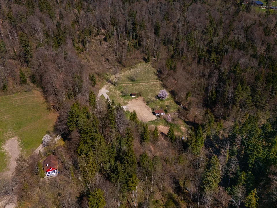 NATURJUWEL: 2'136m² Wiese, mit 1 bewilligtem Haus, 100% autark, Natur pur Waldlichtung – Foto 24 von 30