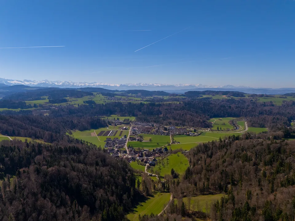 NATURJUWEL: 2'136m² Wiese, mit 1 bewilligtem Haus, 100% autark, Natur pur Waldlichtung – Foto 30 von 30