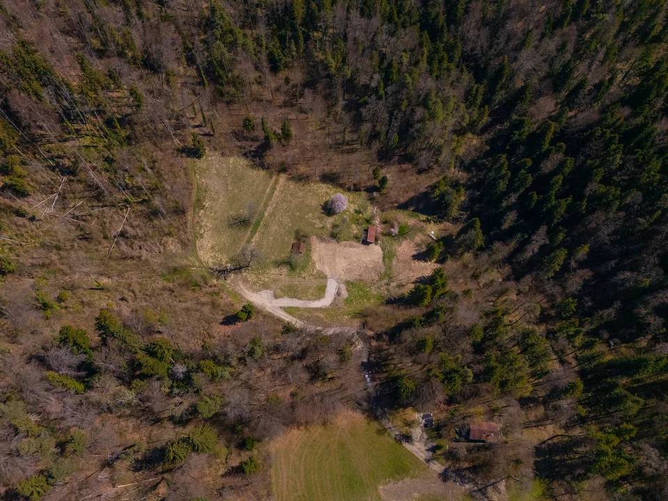 NATURJUWEL: 2'136m² Wiese, mit 1 bewilligtem Haus, 100% autark, Natur pur Waldlichtung – Foto 26 von 30