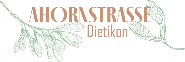 Letzter Parkplatz im Projekt Ahornstrasse, Dietikon