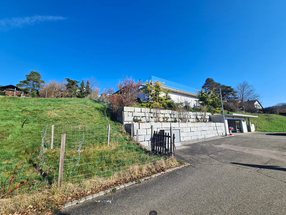 AUSSERGEWÖHNLICH - Prächtige Traumvilla mit Pool und Doppelgarage, ideal gelegen. – Foto 9 von 29