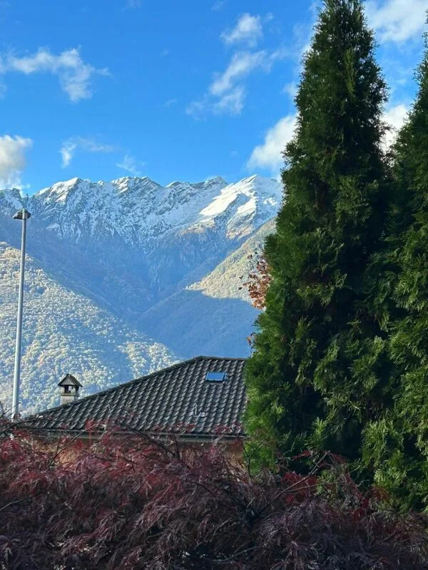 Schönes Haus in Wohngegend – Foto 24 von 24