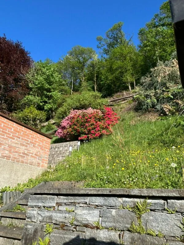 Schönes Haus in Wohngegend – Foto 22 von 24