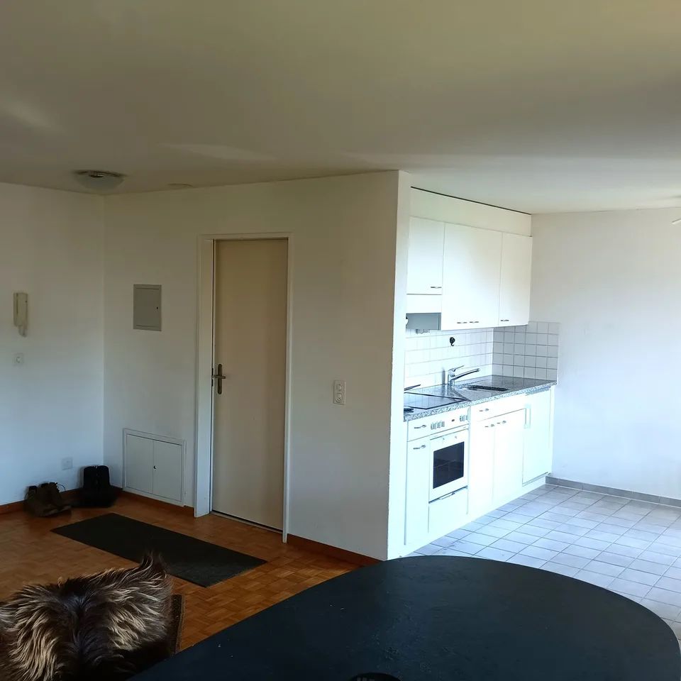Appartamento accogliente di 1.5 locali con balcone a Meikirch
