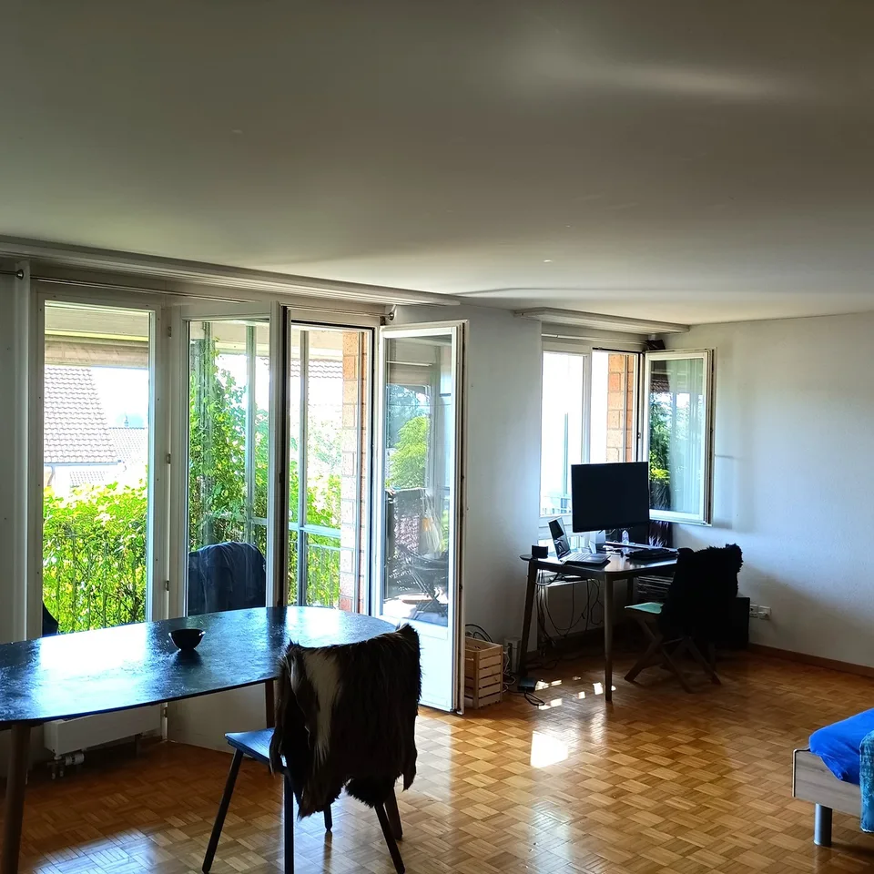 Appartamento accogliente di 1.5 locali con balcone a Meikirch