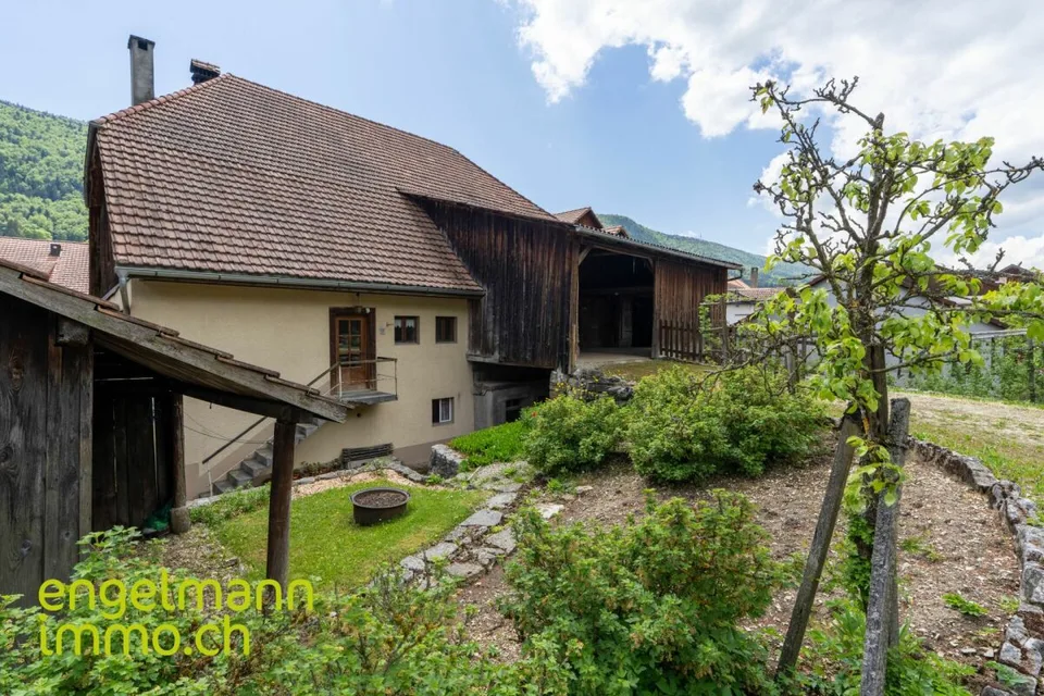 Ancienne ferme de 2 appartements  avec grand terrain constructible