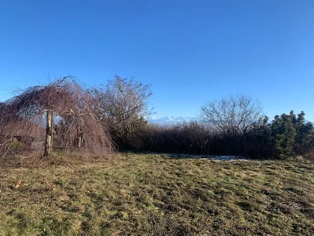 2073 Enges/NE Spaziosa e magnifica villa con 3 garage e vista sui 3 laghi