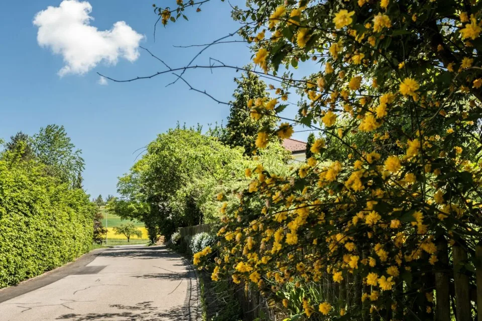 Naturverbunden wohnen im Einfamilienhaus