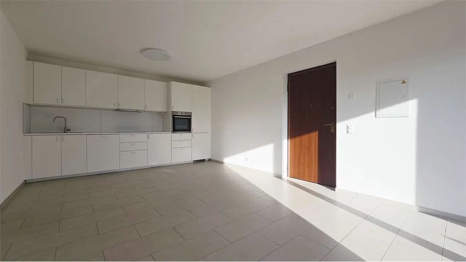 Moderno appartamento di 2.5 locali con terrazza e giardino - Vernate
