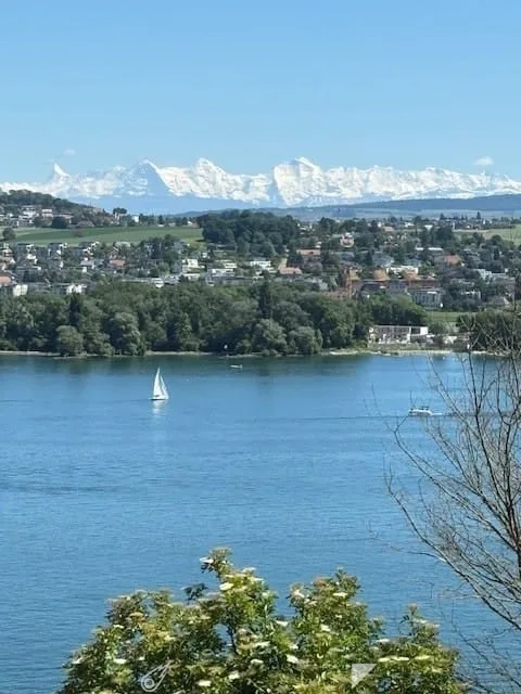 Stilvolle 7-Zimmer-Villa mit Seesicht in Biel kaufen