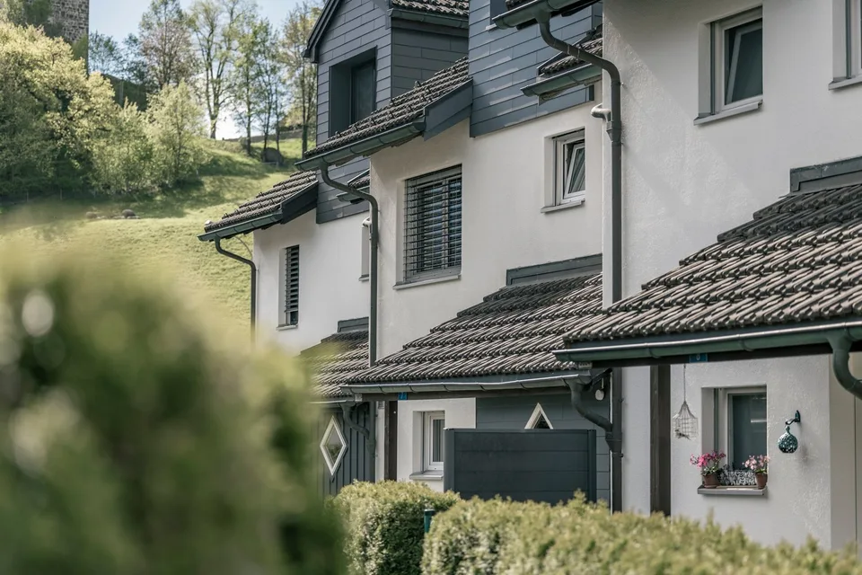 CASA A SCHIERA DI 6.5 LOCALINEL CUORE DI WERDENBERG – foto 31 di 33