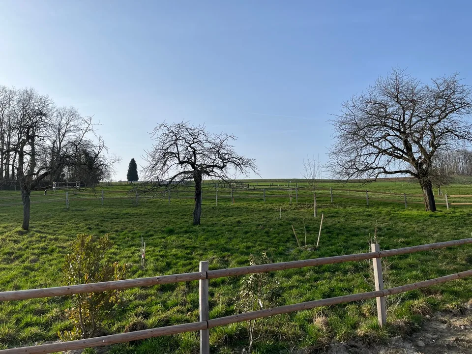 A PARTIR DE CHF 895'000.-
