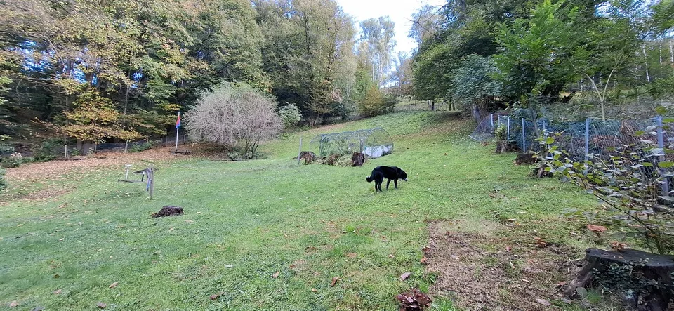 QUI REGNA IL SILENZIO – Foto 12 von 12