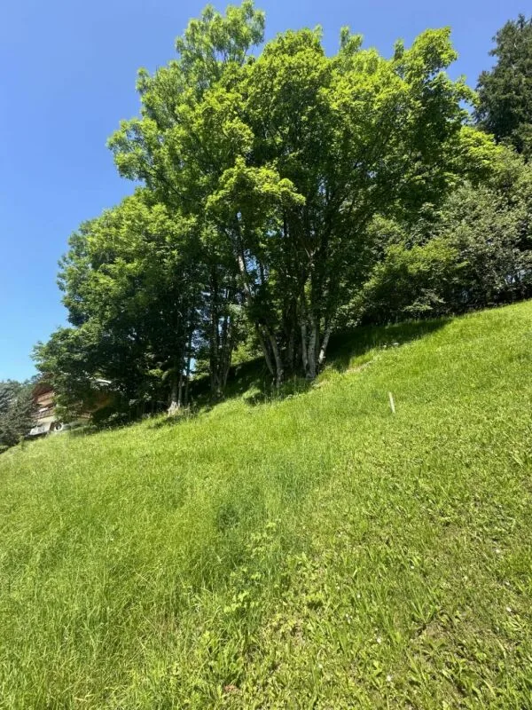 Baugrund in Chesières